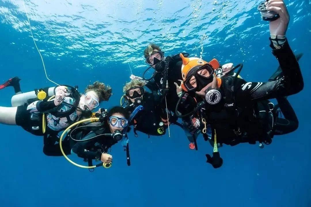 海南：艺术赋能自贸港建设